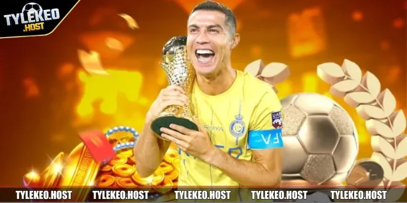 May88 là nhà cái cá cược hợp pháp