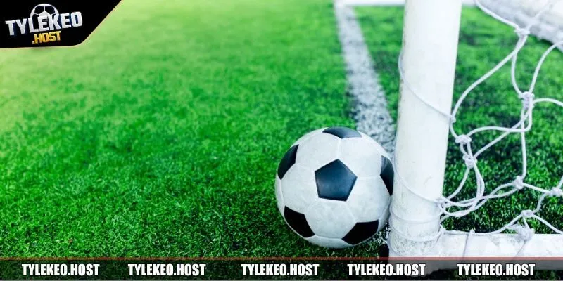 Những yếu tố giúp tỷ số bóng đá Blu nổi bật trong cộng đồng