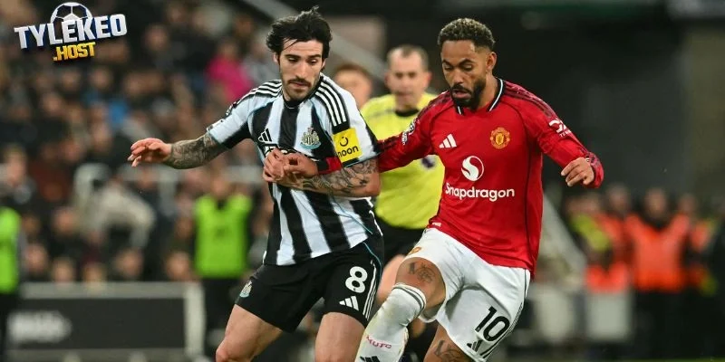 Sự phù hợp của Sandro Tonali MU